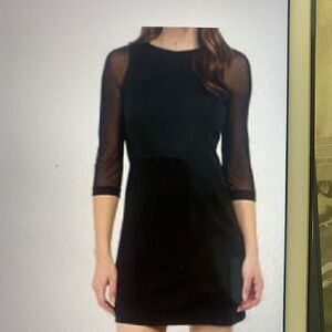 Jack Mini Dress with Mesh Sleeves